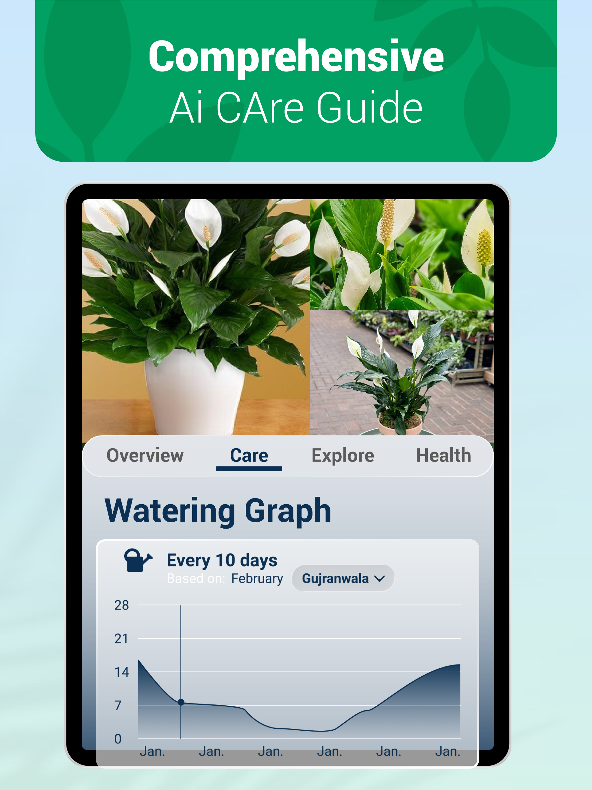 Picture Plant: Identify & Care