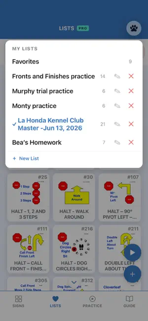 Ringside Rally: AKC Edition screenshot 2