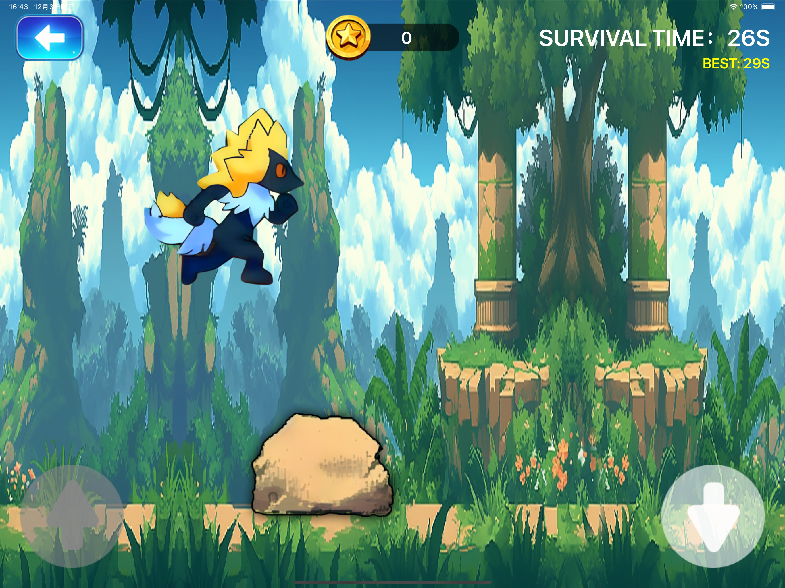 Pet Run: Evolution Dash