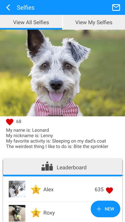 South Town Animal Hospital screenshot-3