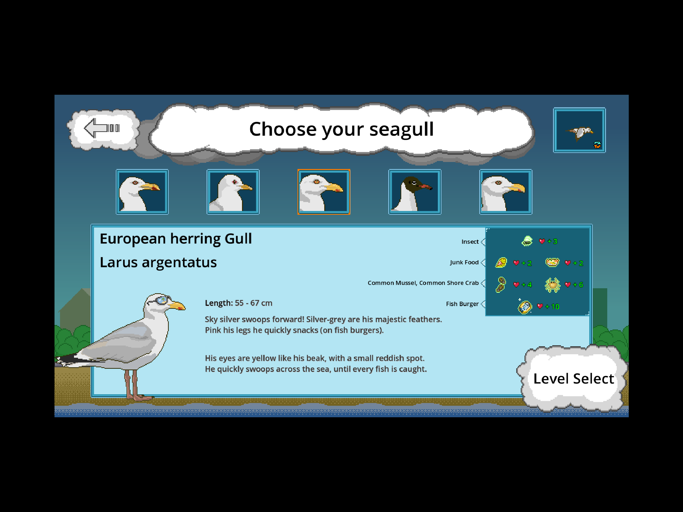 Moewenvibes: Seagull Swoop