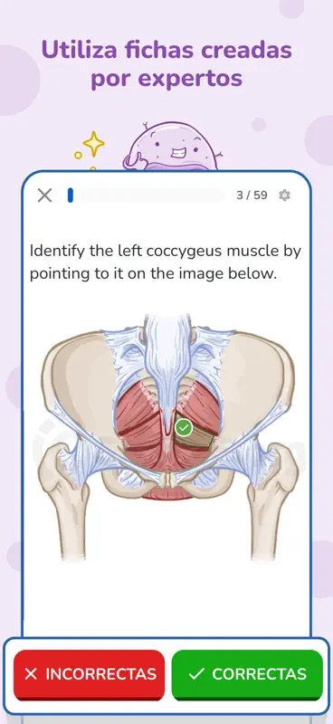 Osmosis: Estudios de Medicina screenshot 6 of 9