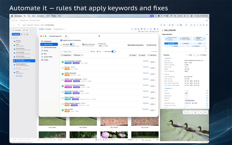 MetaScope: Metadata Editor screenshot