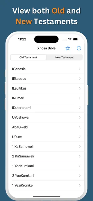 Xhosa IZIBHALO EZINGCWELE iPhone screenshot 4