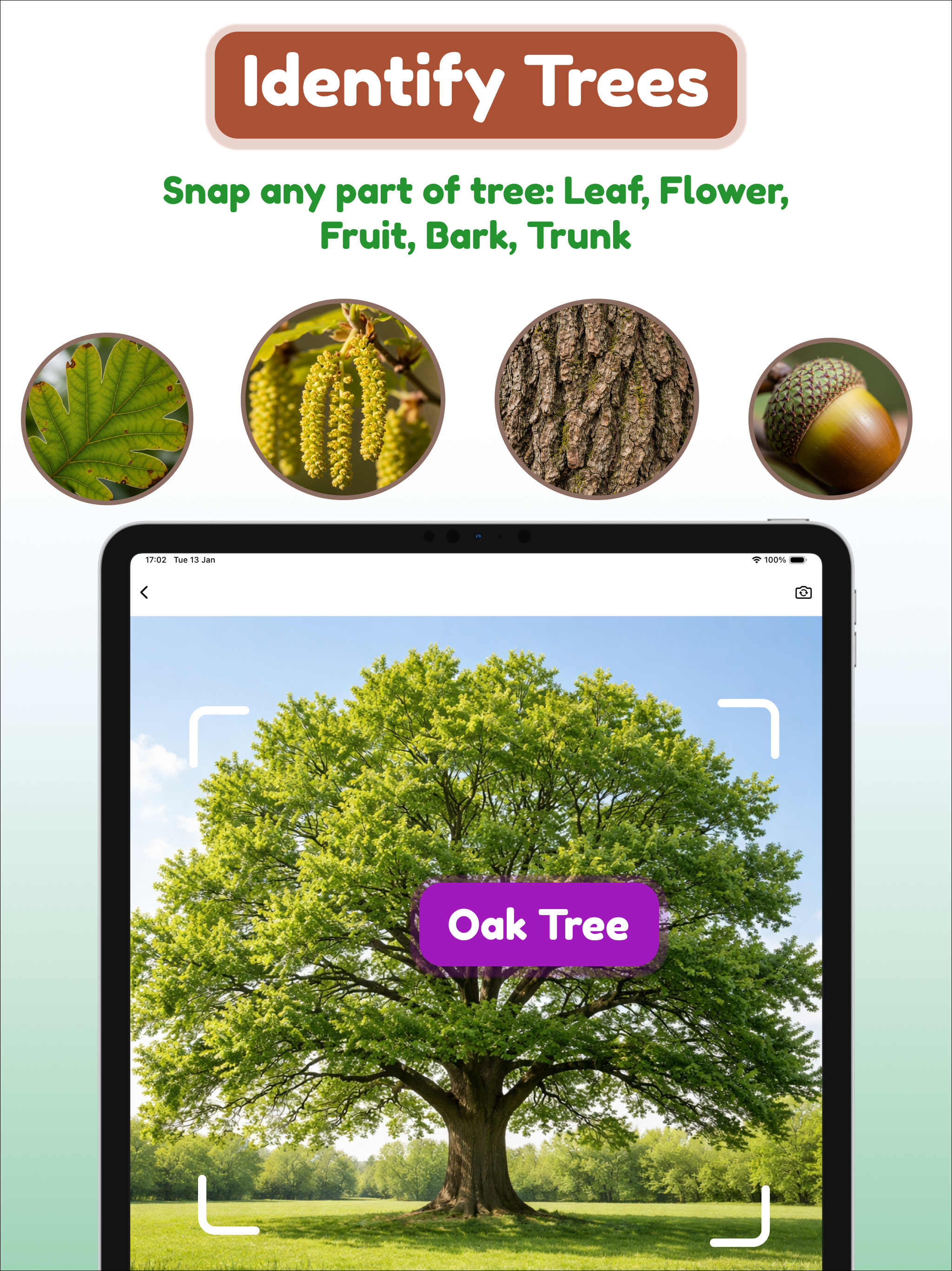 Tree and Plant Identifier screenshot 8