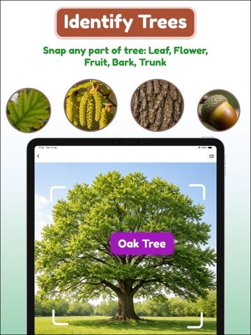 Tree and Plant Identifier iPad screenshot