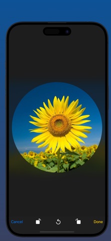 Circle Photo Screenshot 6 of 8