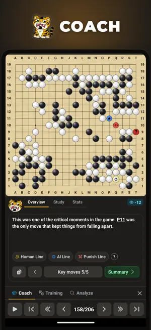 PlayGo.gg - Go, Baduk, Weiqi screenshot 2