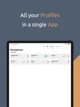 Passepartout, VPN Client 1