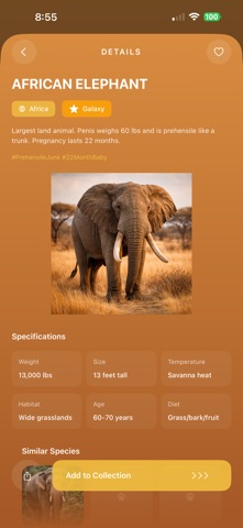AhaAnimal.io Screenshot 3 of 7