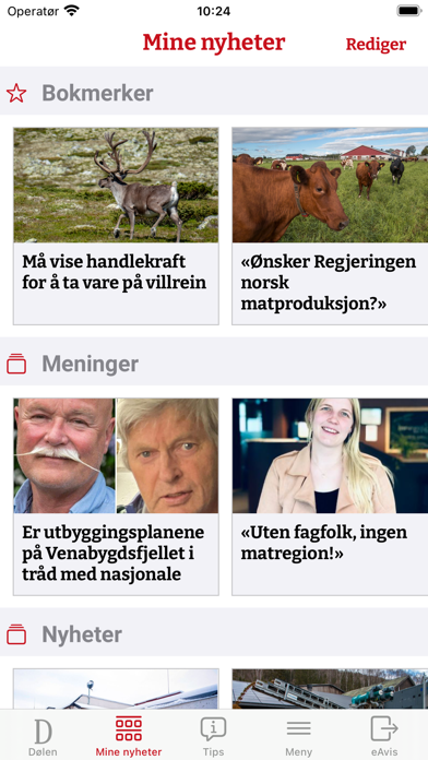 Dølen Nyheter Screenshot