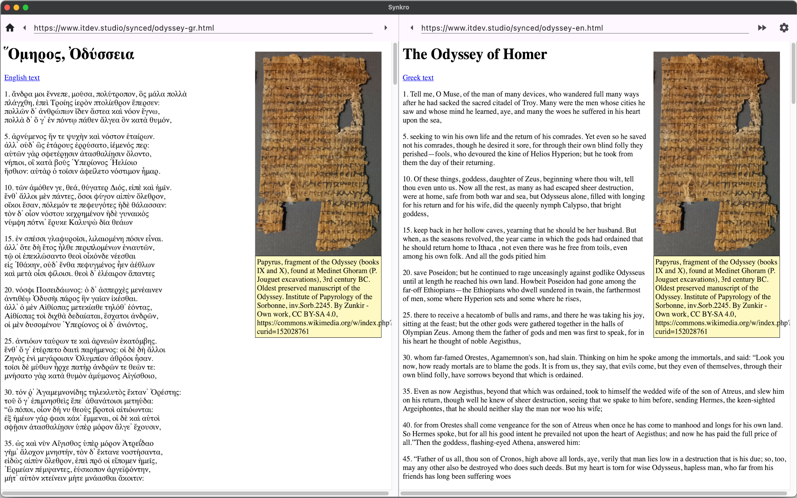 Synchronous browser screenshot 9