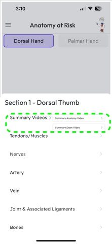 Anatomy at Risk screenshot