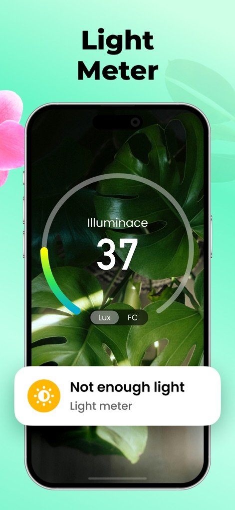 Plant Parent: Plant Care Guide - Optimize Light Levels