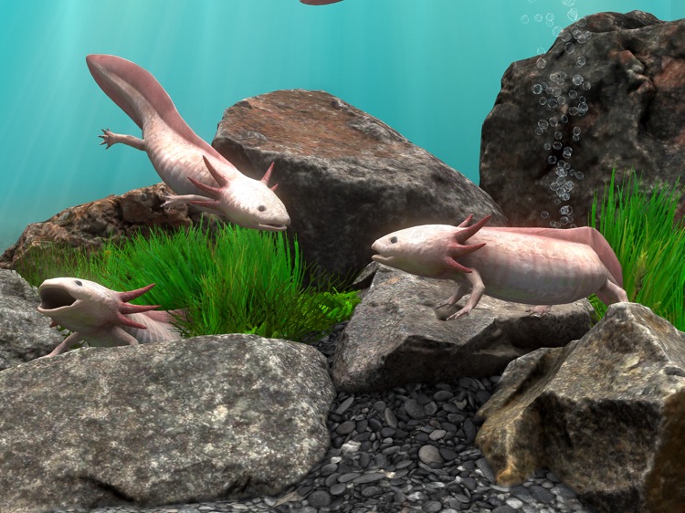 Fish Farm 4: 3D Aquarium