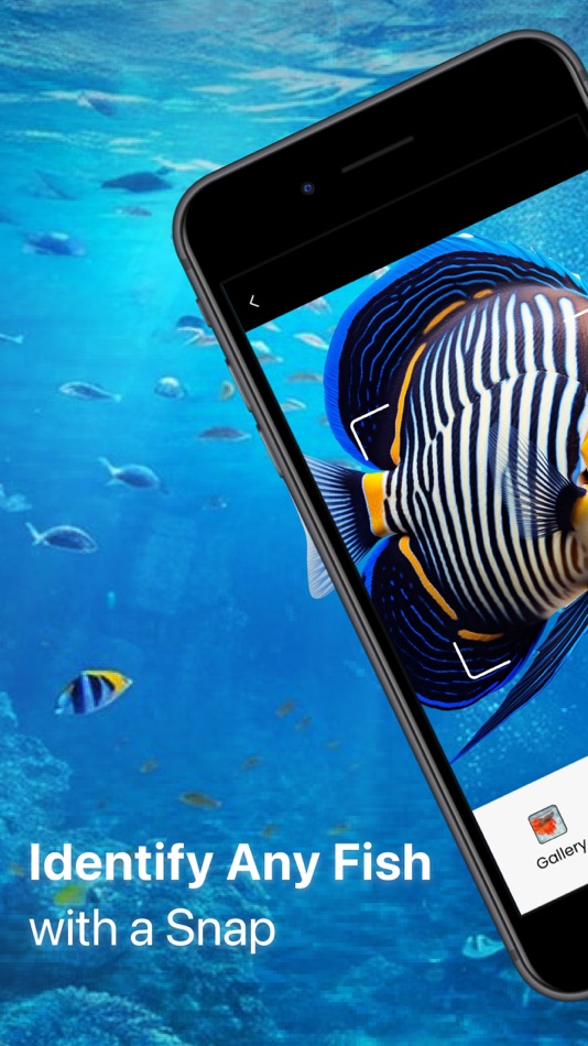 #1. Fish Identifier - Fish ID (iOS) 由: Huong Vu Lan