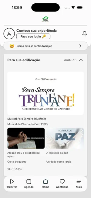 PIBRE screenshot 1