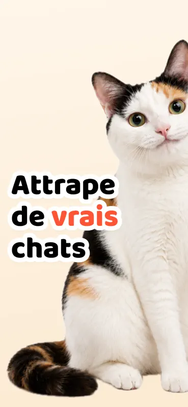 Cat Collector: De vrais chats screenshot 1 of 6