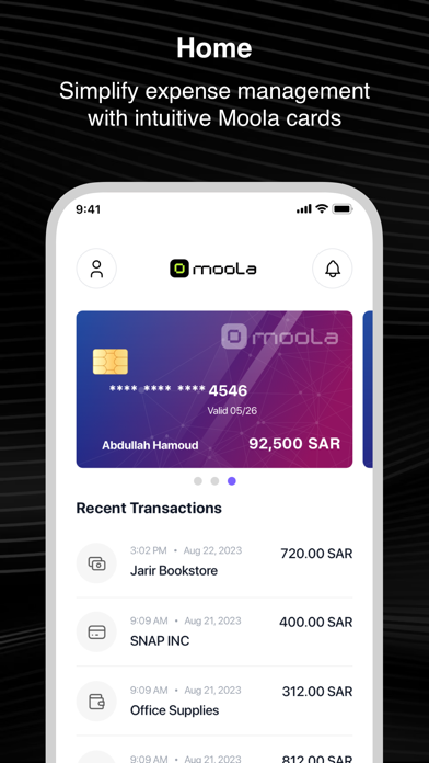 MOOLA: Cards & Expenses Screenshot