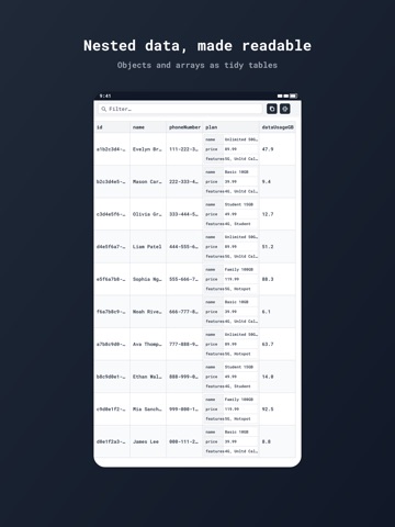 Json To Table ipad screenshot 2