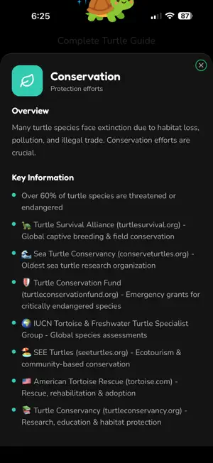 TurtleFluent screenshot 4