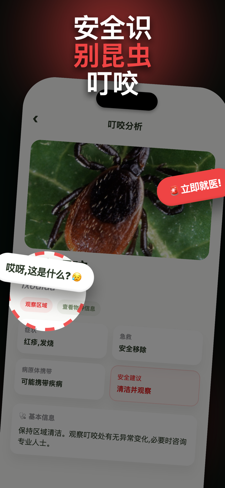 昆虫识别: 蜘蛛与咬伤 screenshot 2