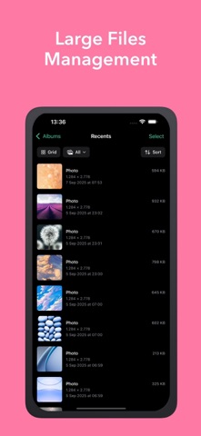 Snapure+: Secure Photo Cleaner screenshot