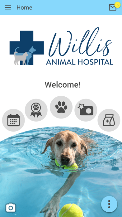 Willis Animal Hospital Screenshot