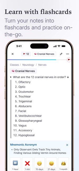 ‎RemNote - Notes & Flashcards Screenshot