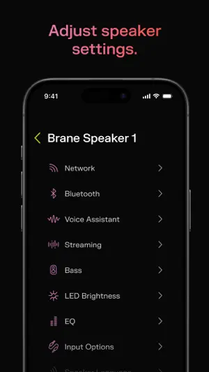 Brane screenshot 2