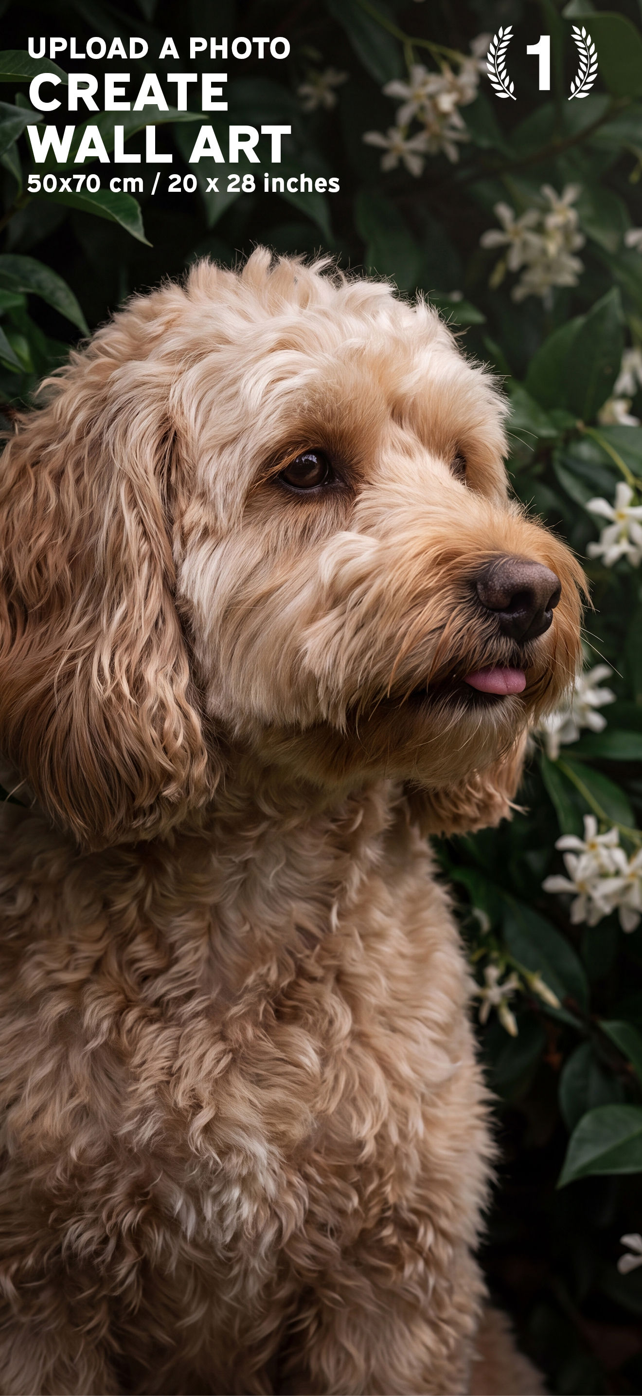 PawArt - Your pet as wall art screenshot 2