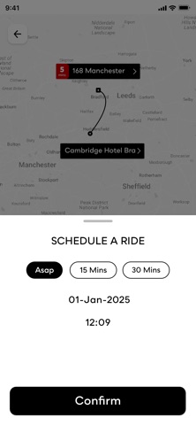 Bridge Taxis screenshot