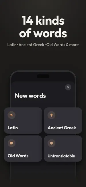 Vocabulary Builder – English screenshot 3