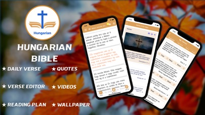 Hungarian Bible - offline Screenshot