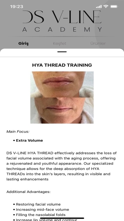 DS V-LINE screenshot-3