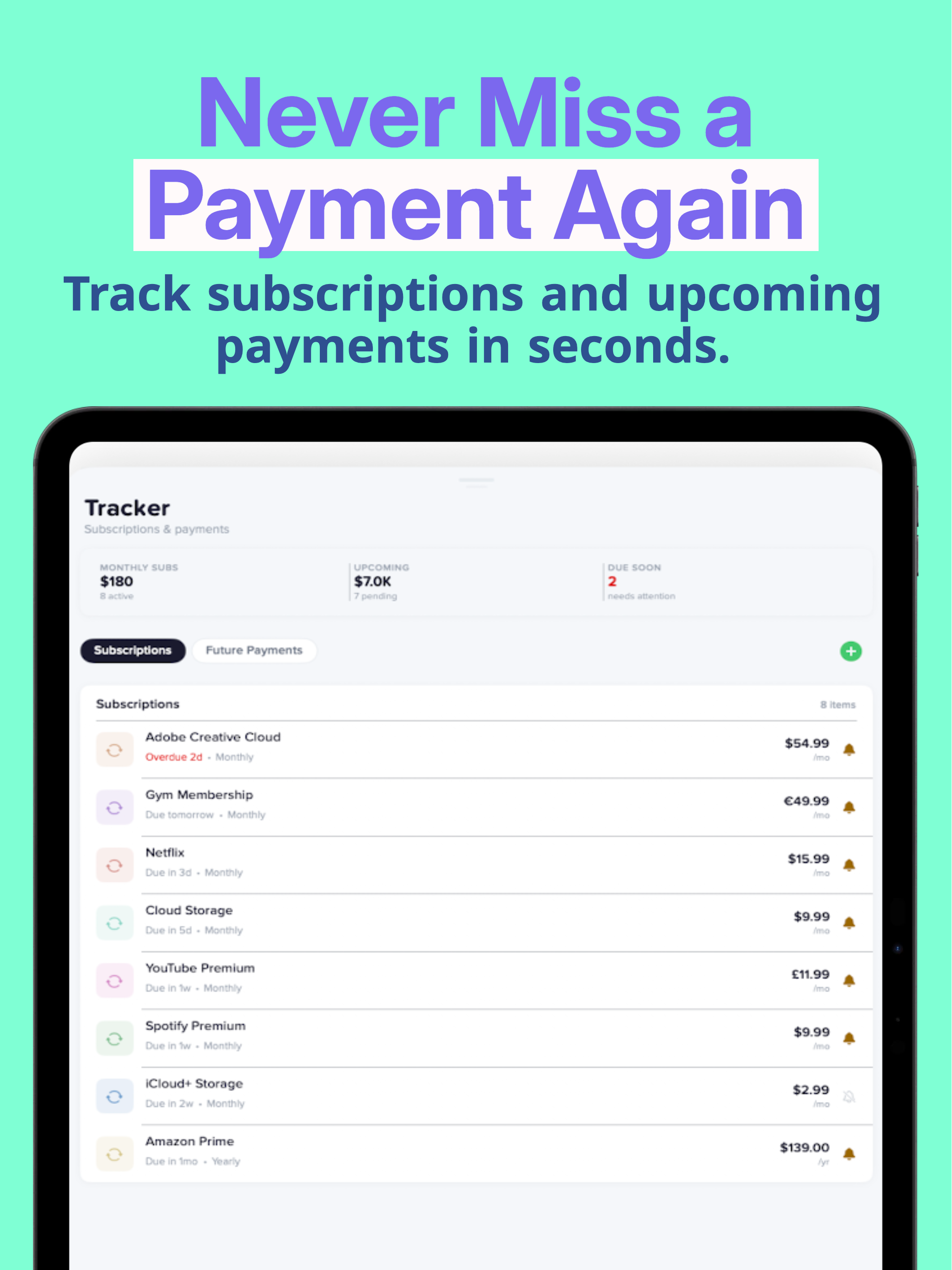 Net Worth Tracker - Netvo