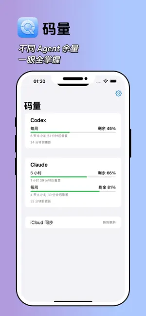 码量：AI 编程额度 screenshot 1