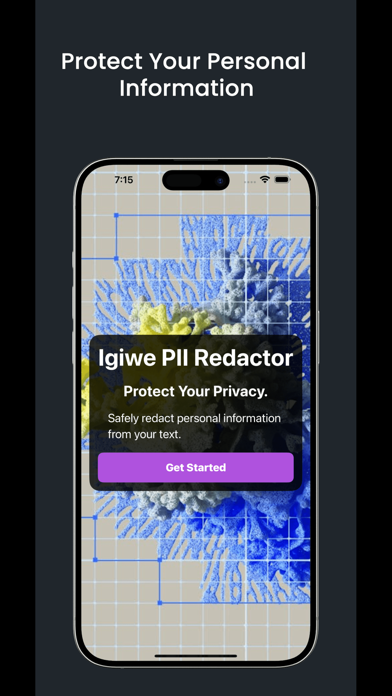 Igiwe PII Shield Screenshot