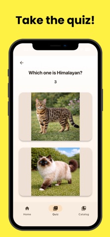 Cat Expert Academy Screenshot 2 of 5