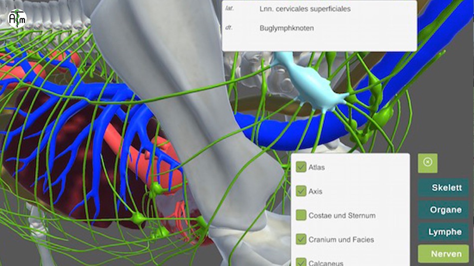 #1. atm-equimapp (macOS) 由: CLT GmbH - Entwicklungsgesellschaft fur Instruktionsdesign und Connected Learinging Tools