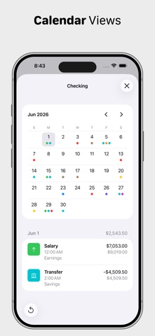 Ledger - Accounting screenshot