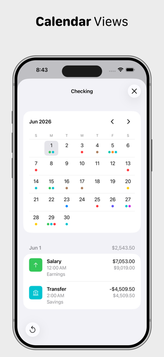 Ledger - Accounting Screenshot 8 of 9