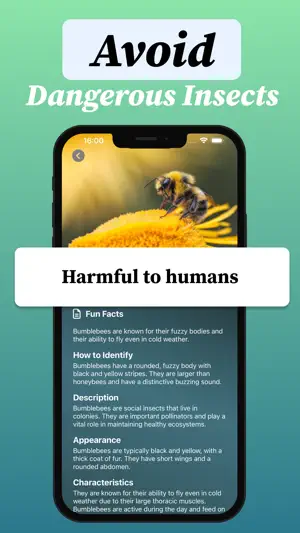 Bug identifier・Insect Scanner screenshot 3