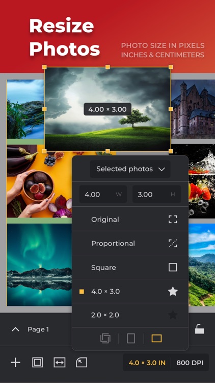 Photo Pages - Layout & Print screenshot-4