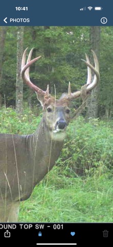 Cuddeback Screenshot 5 of 9