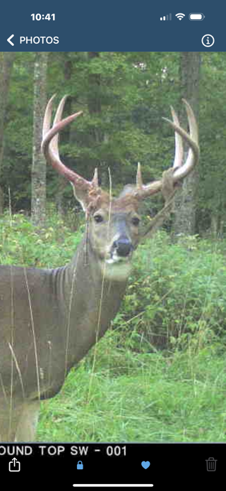 Cuddeback Screenshot 5 of 9
