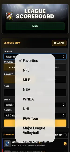 League Scoreboard screenshot 1
