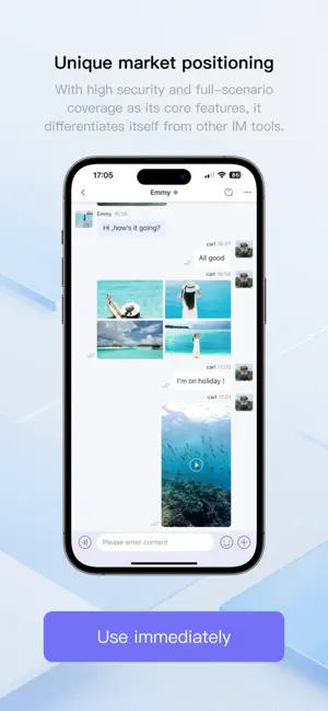 DtWeIm screenshot 2
