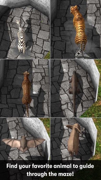 3D Maze - Relaxing Puzzle