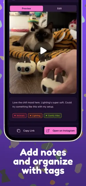 Amplify Creator screenshot 2